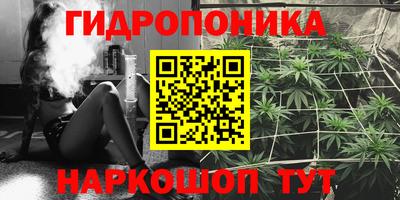 крисы Бугуруслан