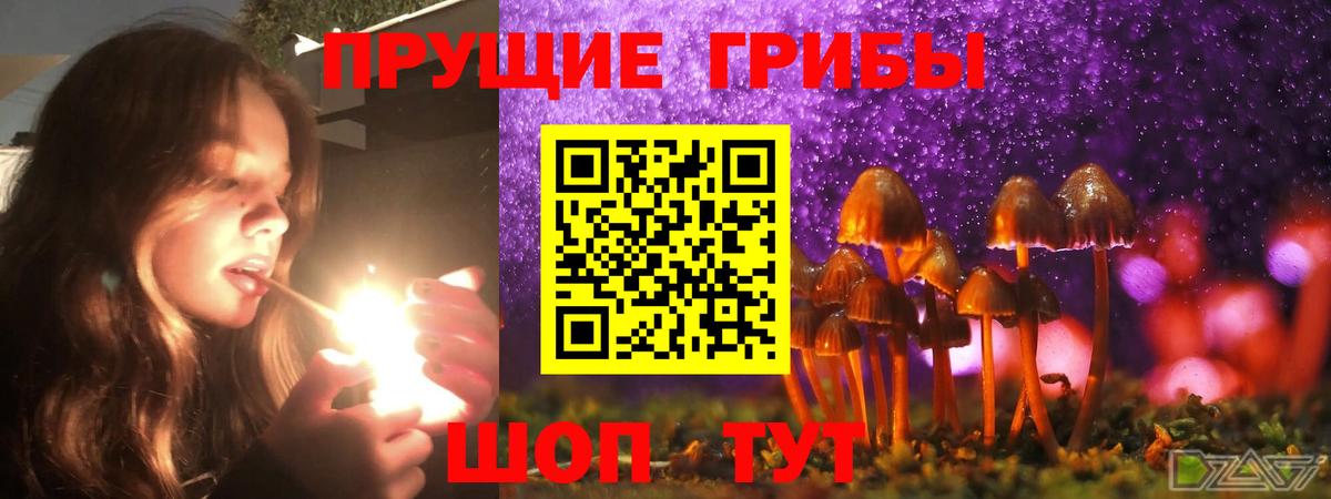 Галлюциногенные грибы мицелий Минеральные Воды